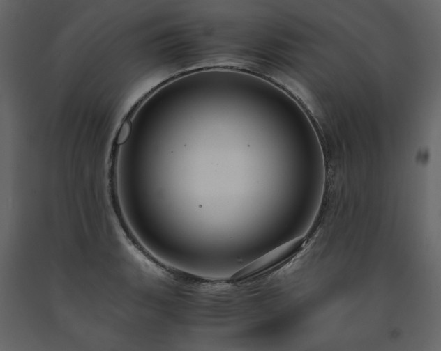 X0000091541135200708241728