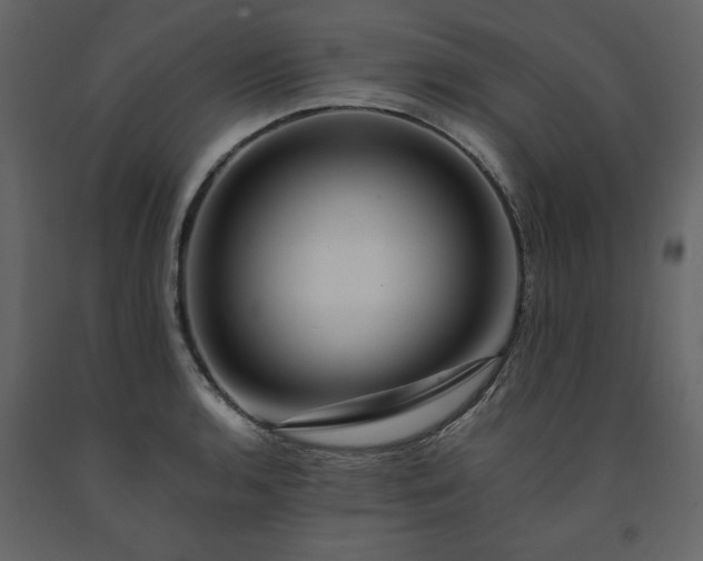X0000091541136200708241728