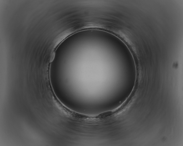 X0000091541137200708241728