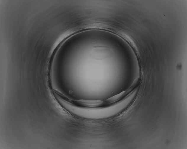 X0000091541138200708241728