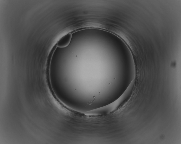 X0000091541139200708241728
