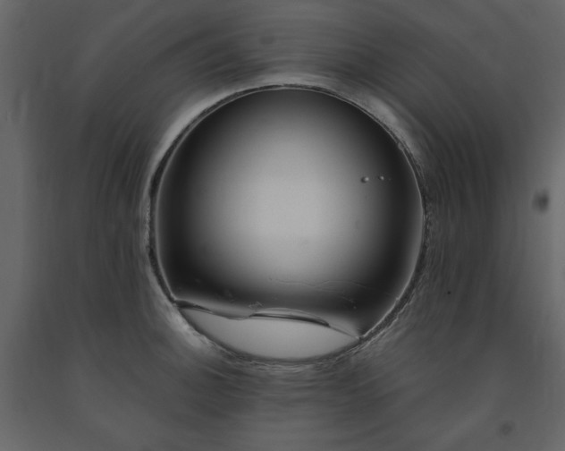 X0000091541140200708241728