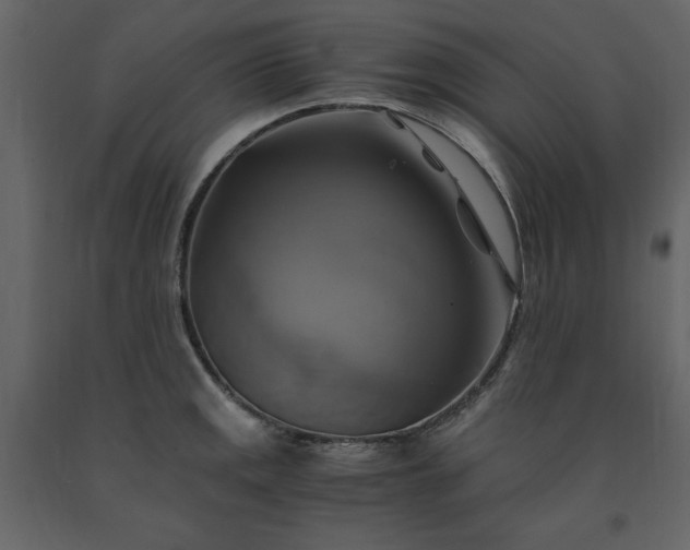 X0000091541141200708241728