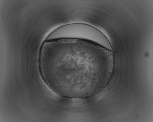 X0000091541142200708241728