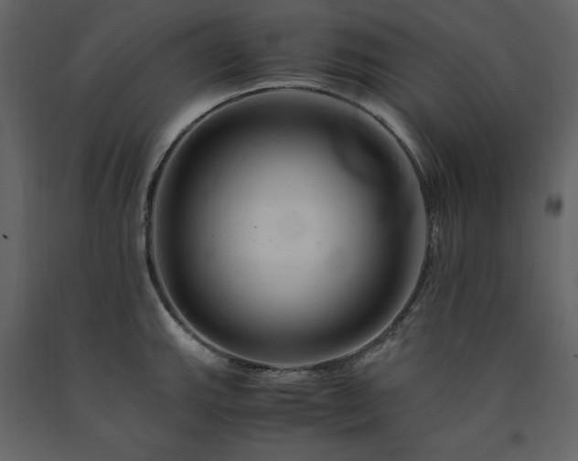 X0000091541143200708241728