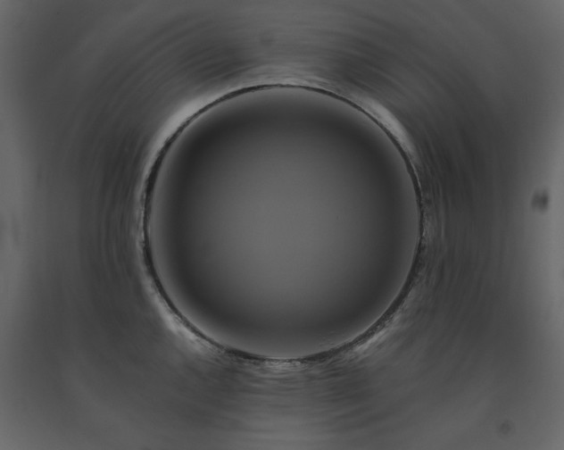 X0000091541144200708241728