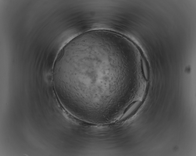 X0000091541145200708241728