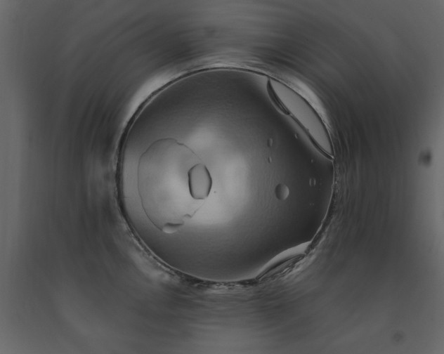 X0000091541146200708241728