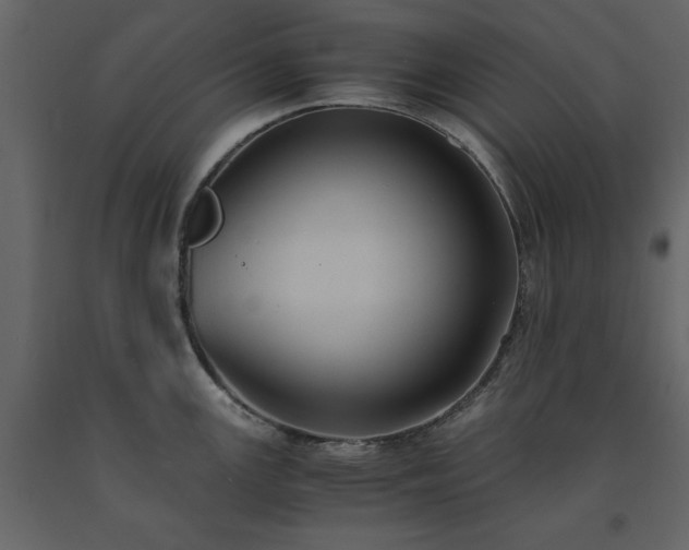 X0000091541147200708241728