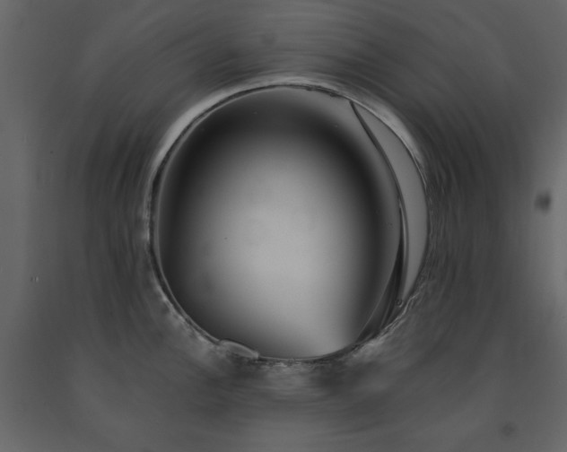 X0000091541148200708241728