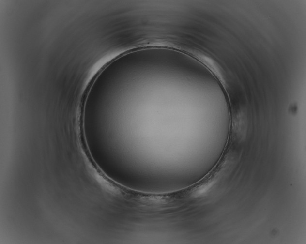 X0000091541149200708241728