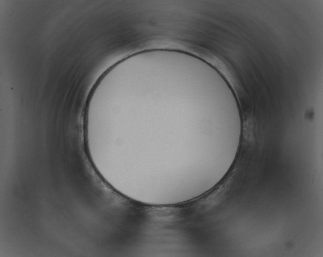 X0000091541150200708241728