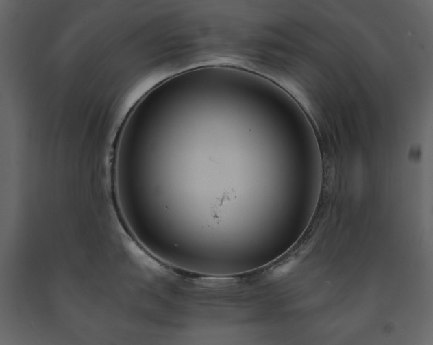X0000091541151200708241728