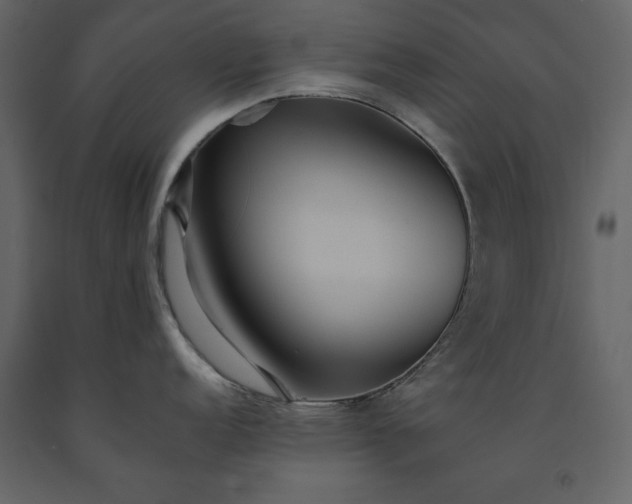 X0000091541152200708241728
