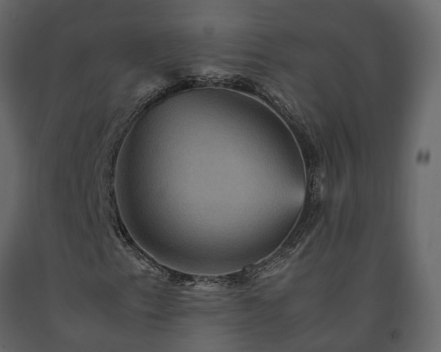 X0000091541153200708241727