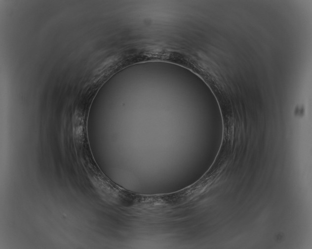 X0000091541154200708241727