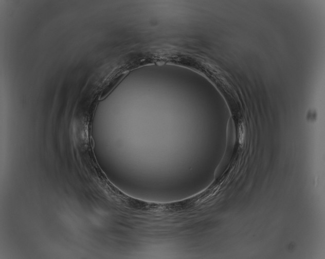 X0000091541155200708241727