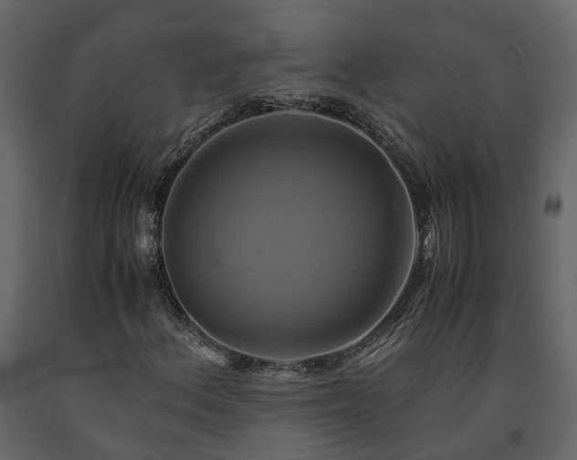 X0000091541156200708241727