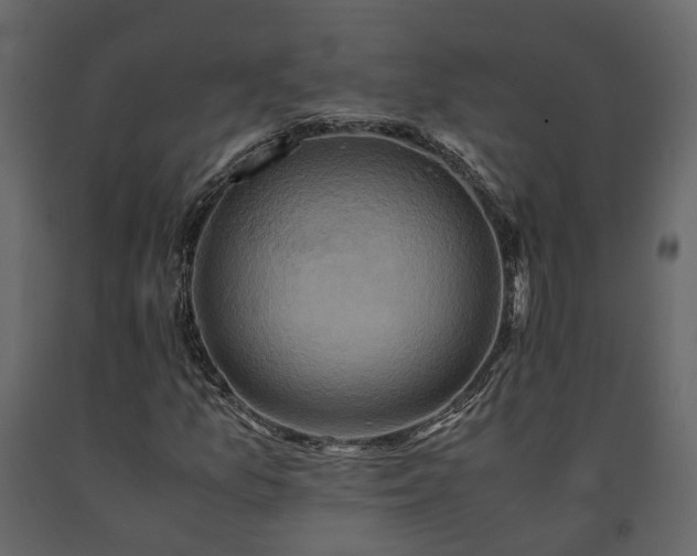 X0000091541157200708241727