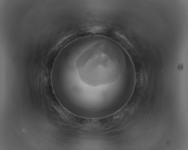 X0000091541158200708241727