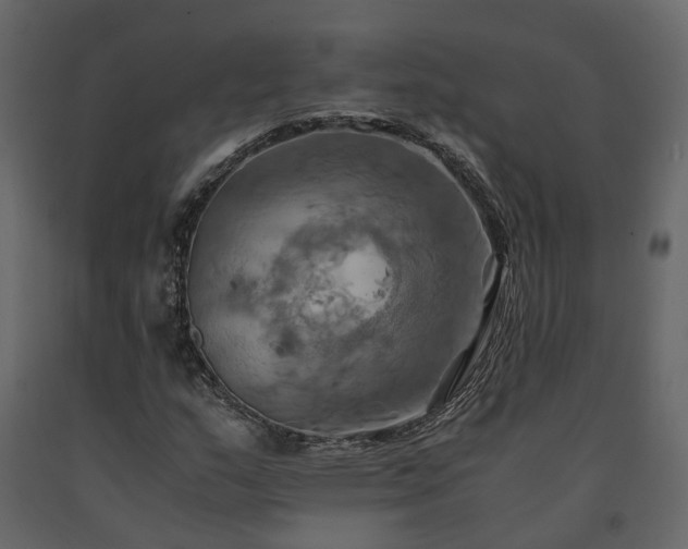 X0000091541159200708241727