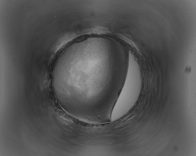 X0000091541160200708241727