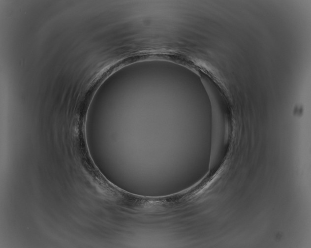 X0000091541161200708241727