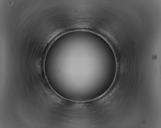 X0000091541162200708241727