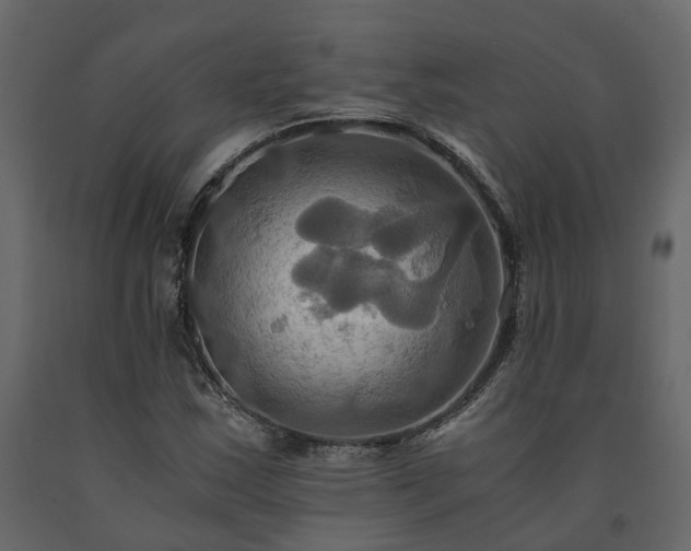 X0000091541163200708241727