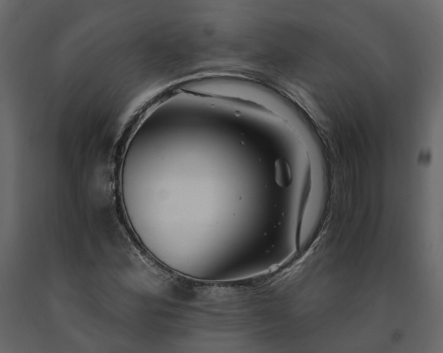 X0000091541164200708241727