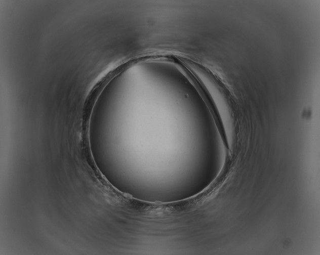 X0000091541165200708241727