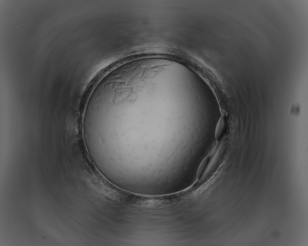 X0000091541166200708241727