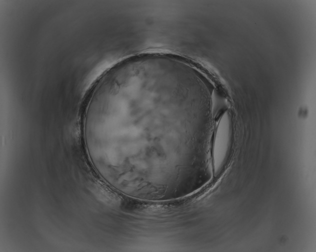 X0000091541167200708241727