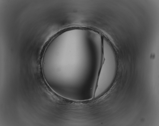 X0000091541168200708241727