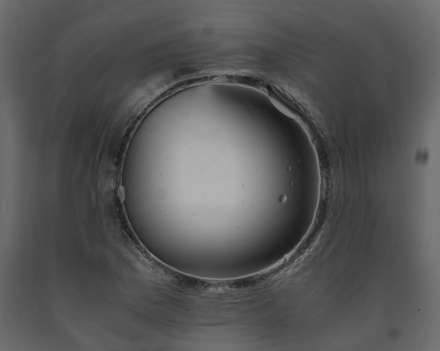 X0000091541169200708241727