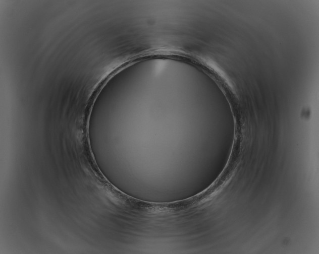 X0000091541170200708241727