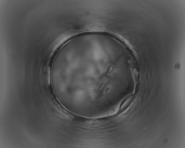X0000091541171200708241727
