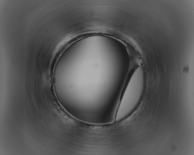 X0000091541172200708241727