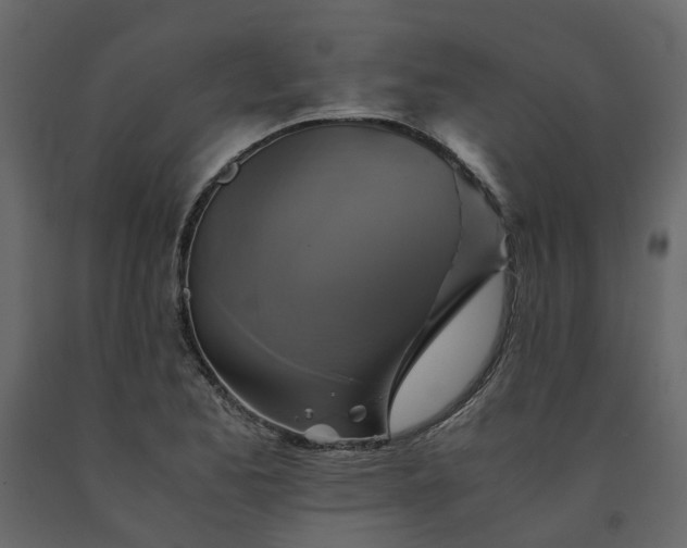 X0000091541173200708241727