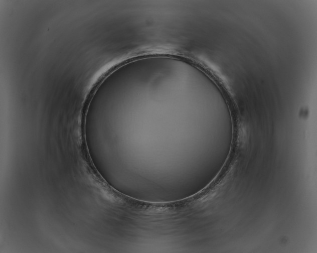 X0000091541174200708241727