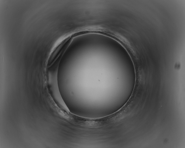 X0000091541176200708241727