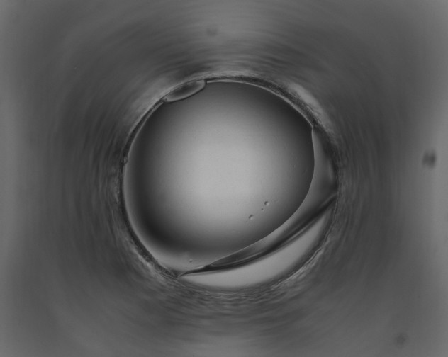 X0000091541177200708241727