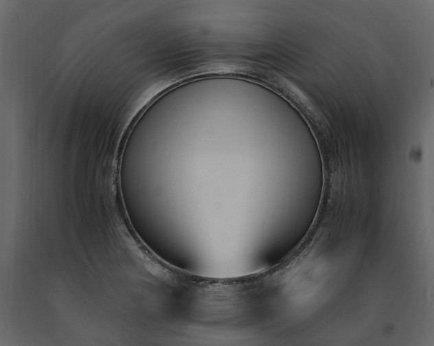 X0000091541178200708241727