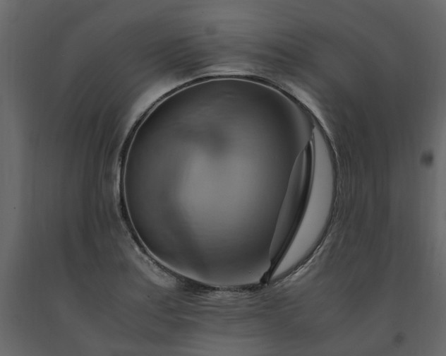 X0000091541179200708241727