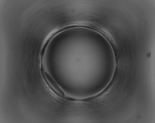 X0000091541180200708241727