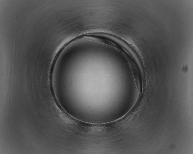 X0000091541181200708241726