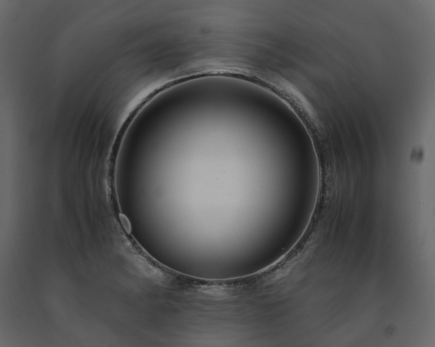 X0000091541182200708241726