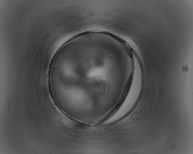 X0000091541183200708241726