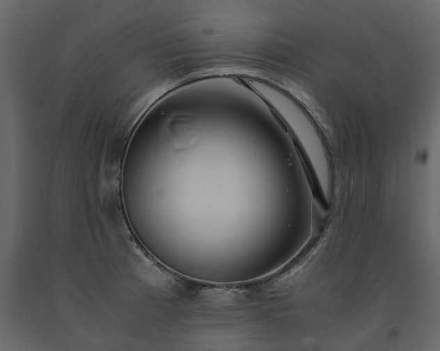 X0000091541185200708241726