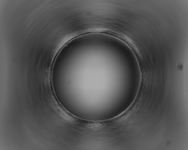 X0000091541186200708241726